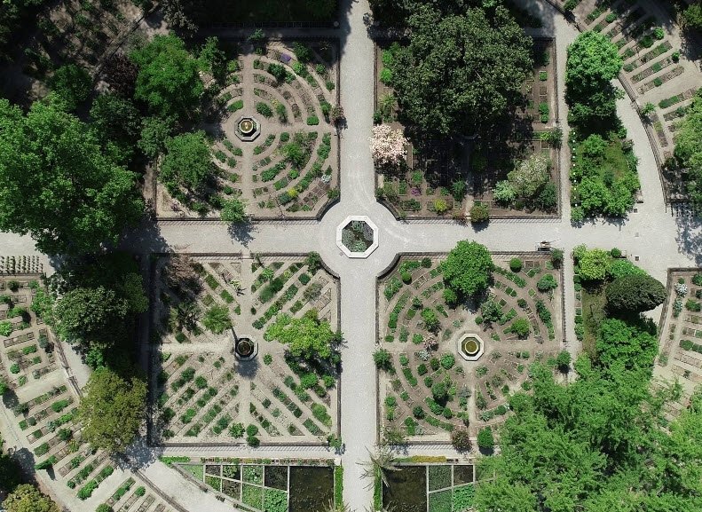 University of Padua Botanical Garden, Padua, Italy, Italy